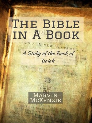 cover image of The Bible in a Book